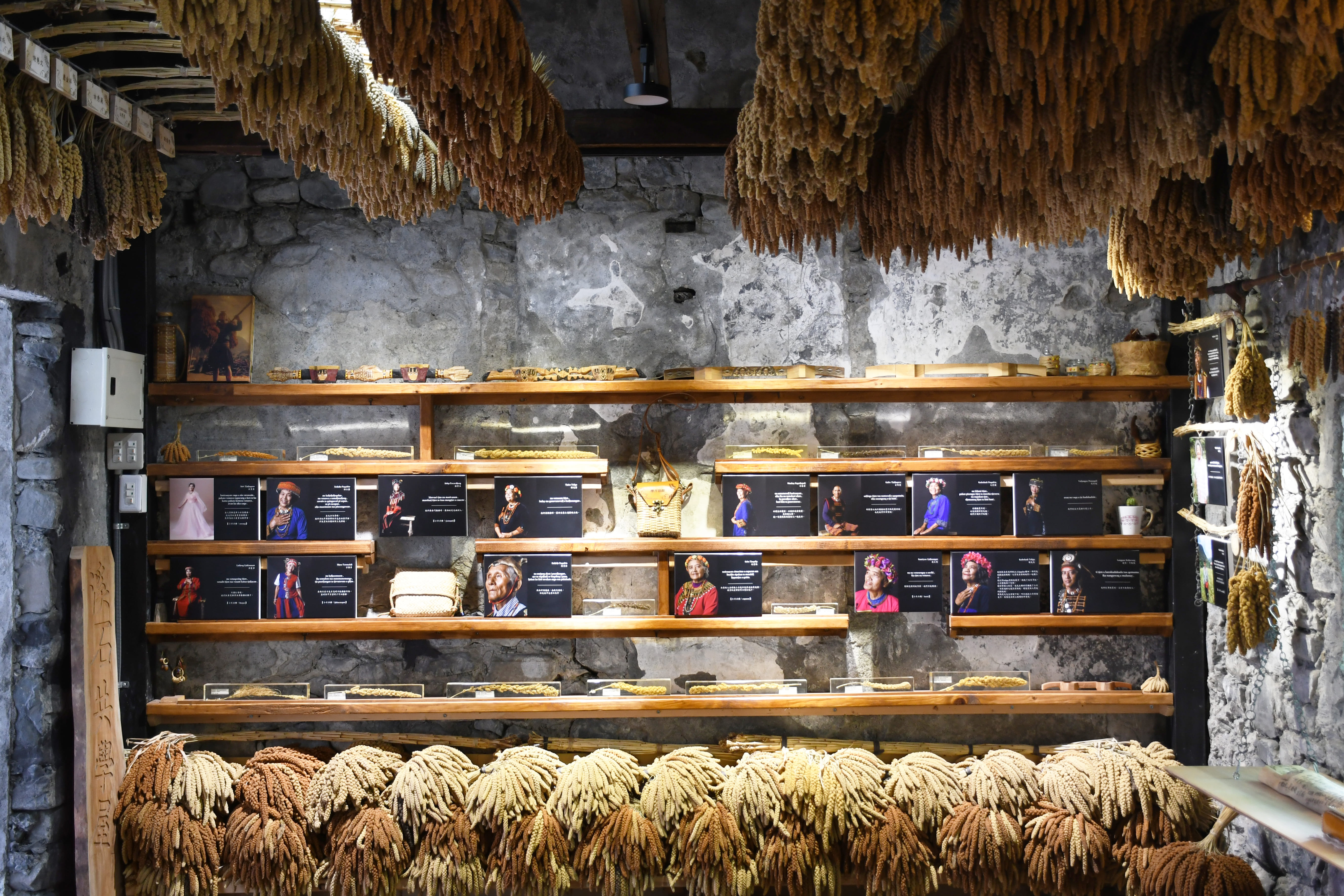 【生物多樣性】延續原民文化、加強氣候韌性 看見為小米保種的人們