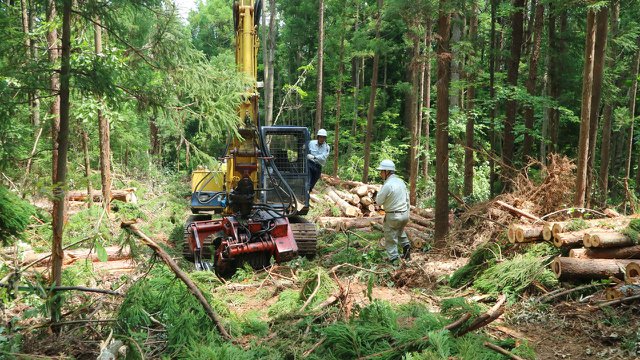 【不義之材】拚五成自給…綠色雇用 日本青年上山去
