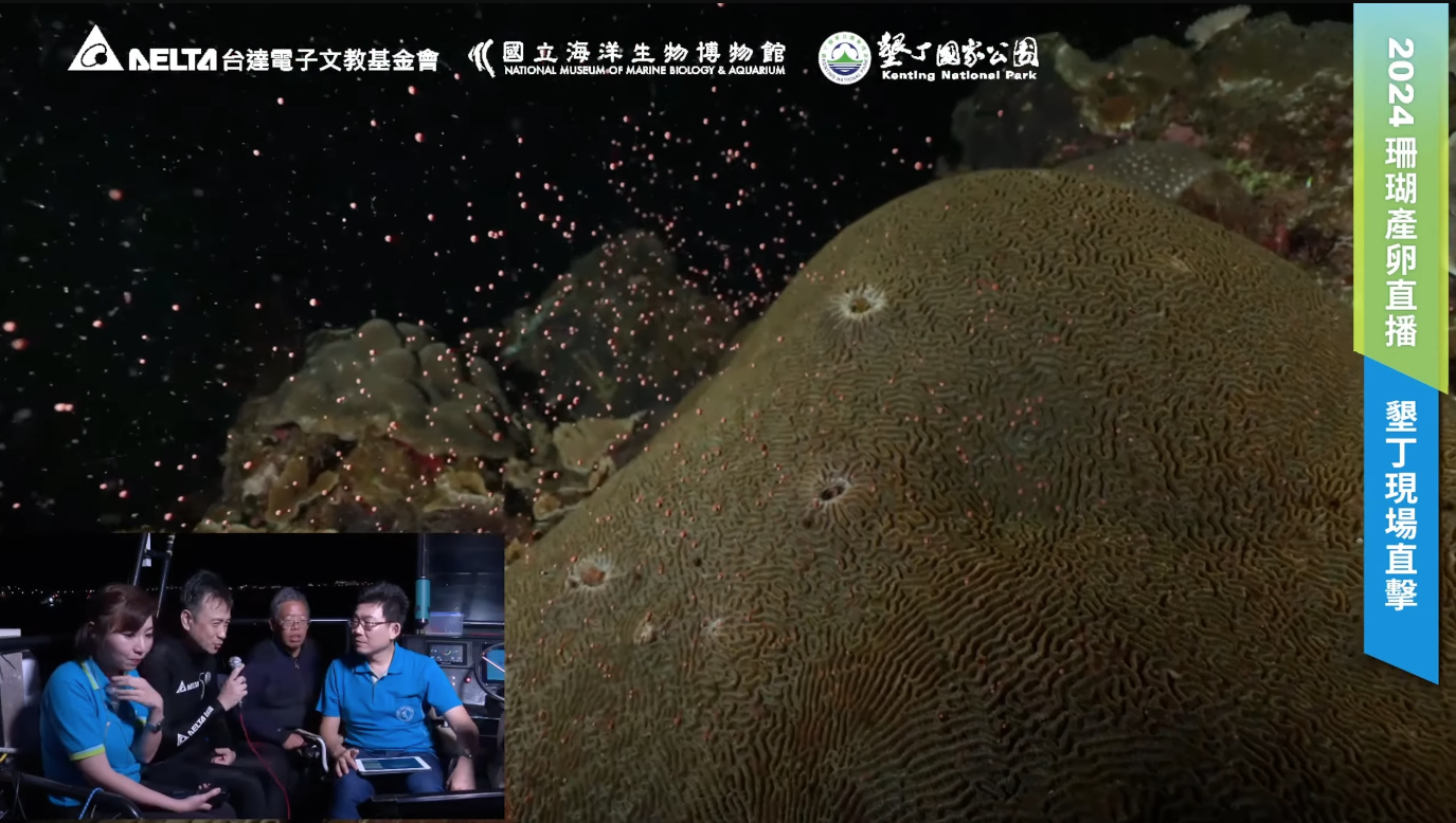 直擊海洋新生命  台達攜手海生館水下直播墾丁珊瑚產卵
