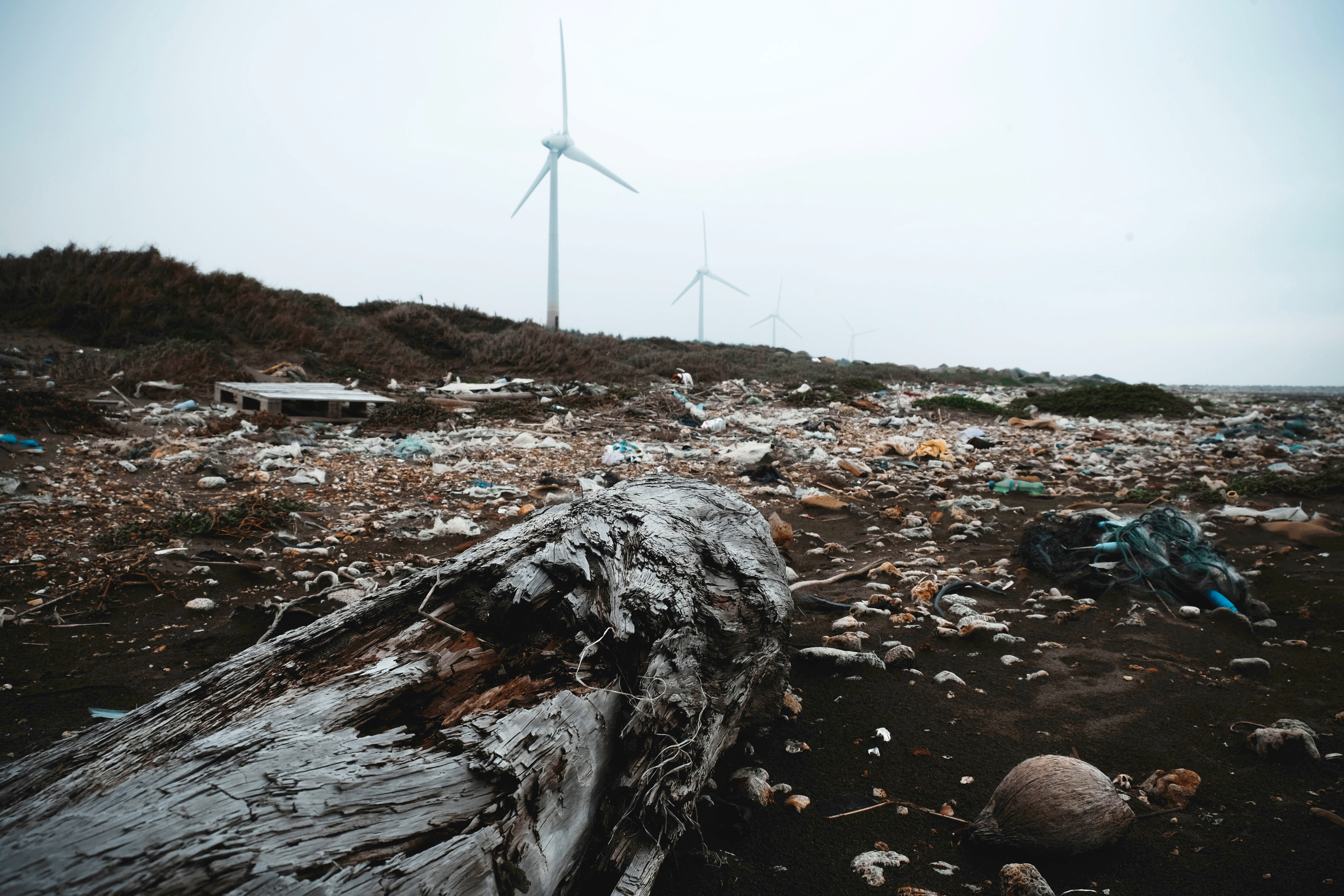 ESG五大關鍵點！黃正忠：金融機構不做綠色融資就是加害者