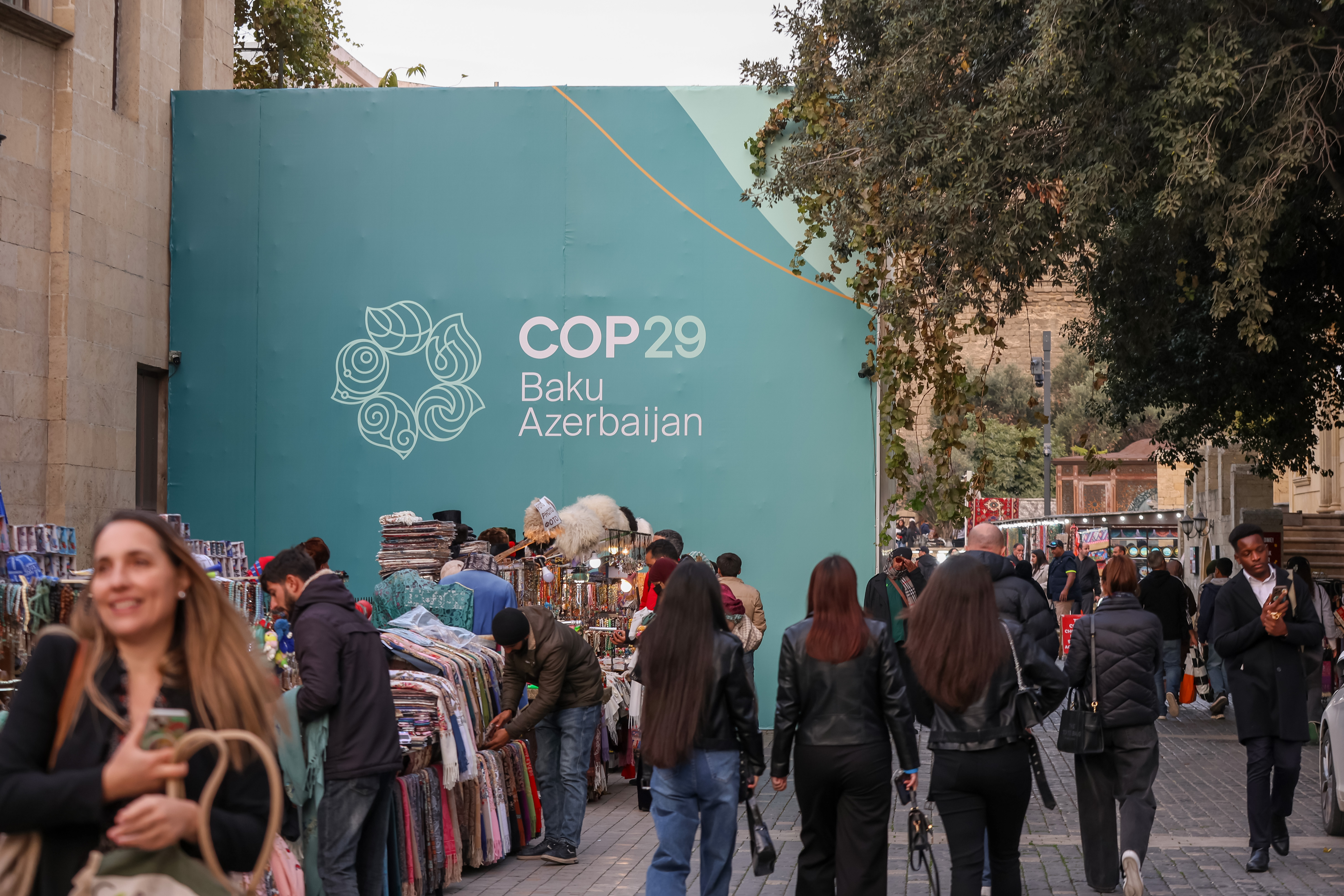 COP29名人看點／蔡明哲 推生物信用額度憑證