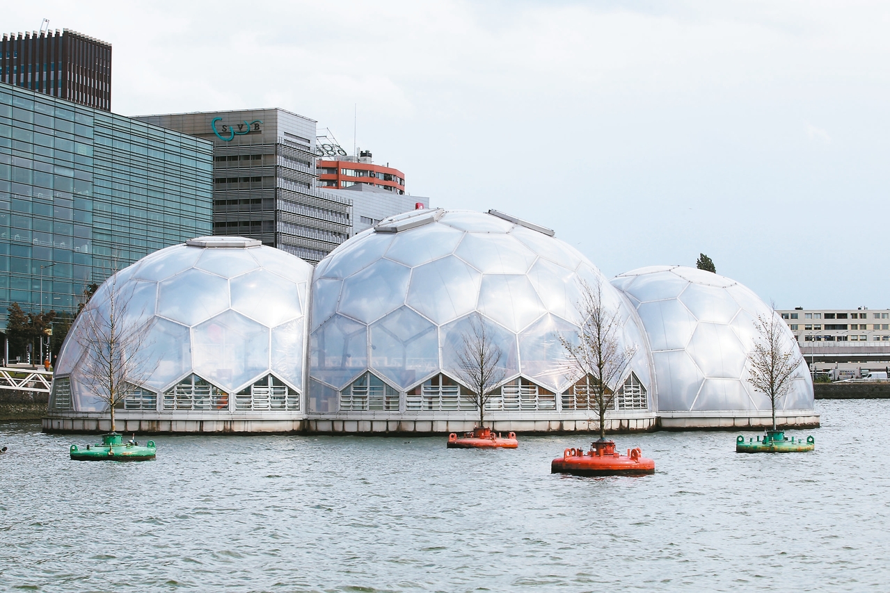 荷蘭5年力拚「氫」經濟&hellip;一輛氫能汽車213萬