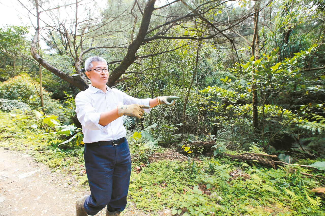 ▲▲擘畫山林 經理人洪士琪種台灣限定