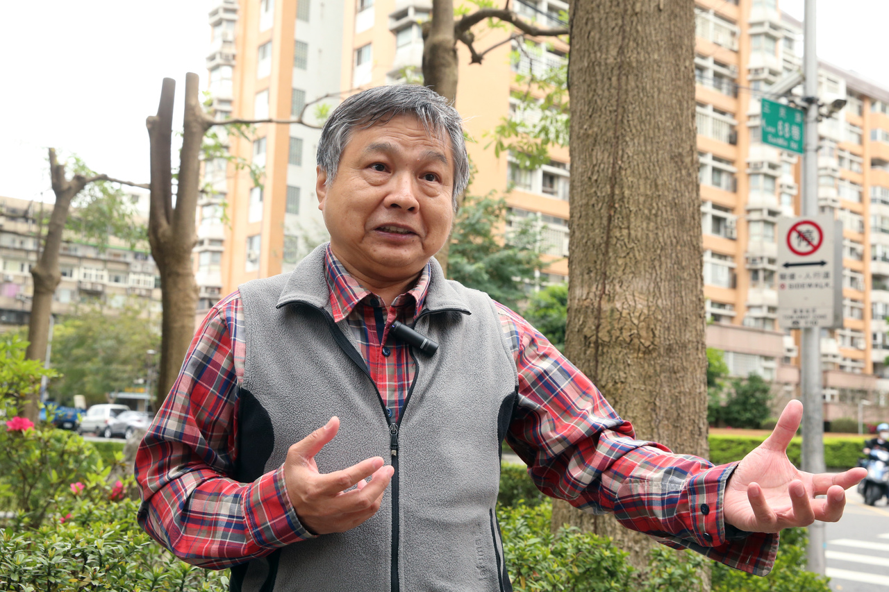 ▲▲颱風來樹易倒 台大邱祈榮：都市林要做風險評估