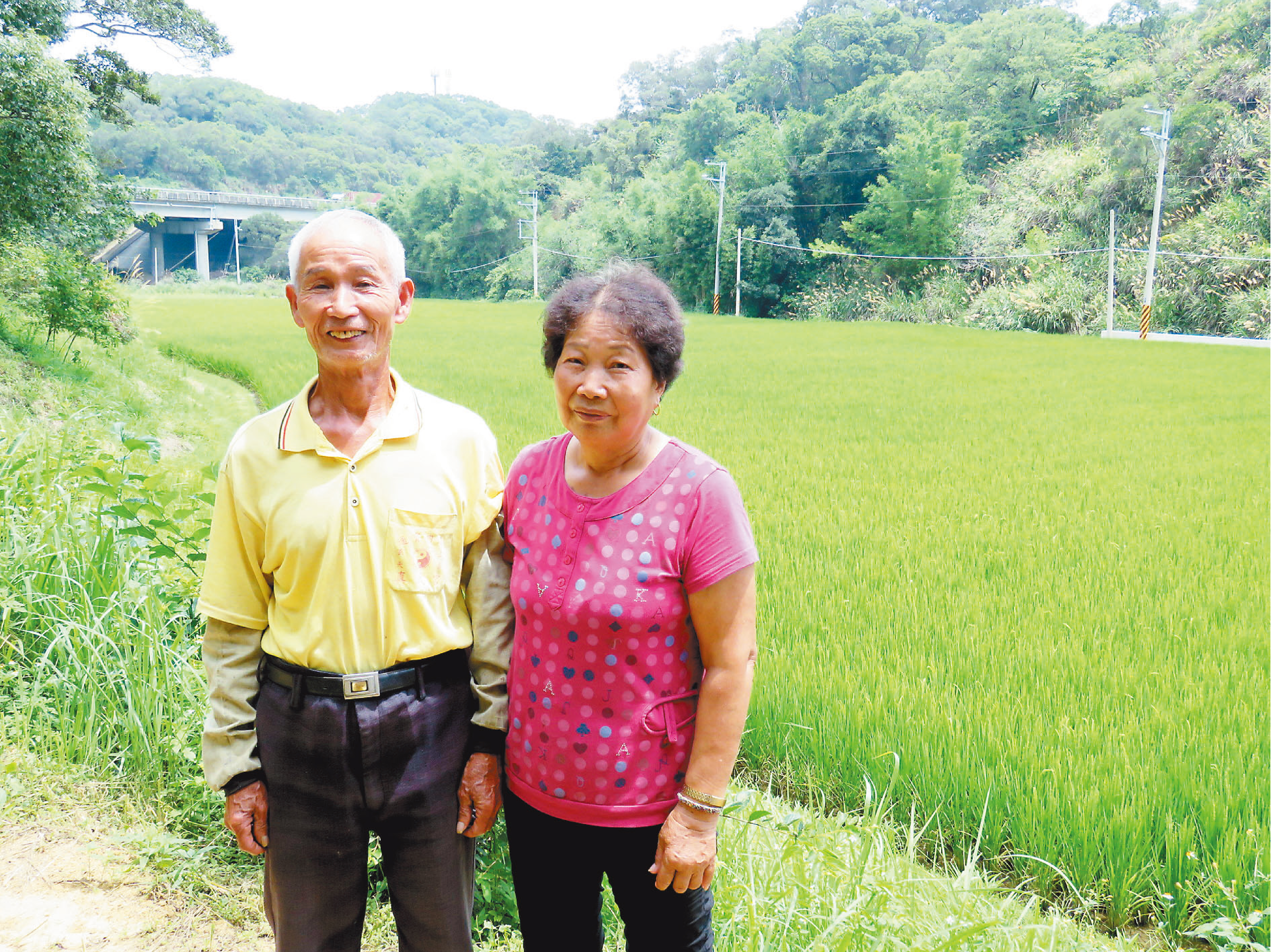 農田裡的生物多樣性  田鱉米守護淺山生態