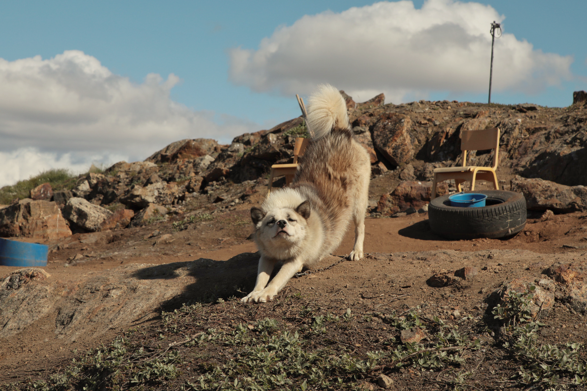【解凍格陵蘭】格陵蘭二三事｜有趣寶箱
