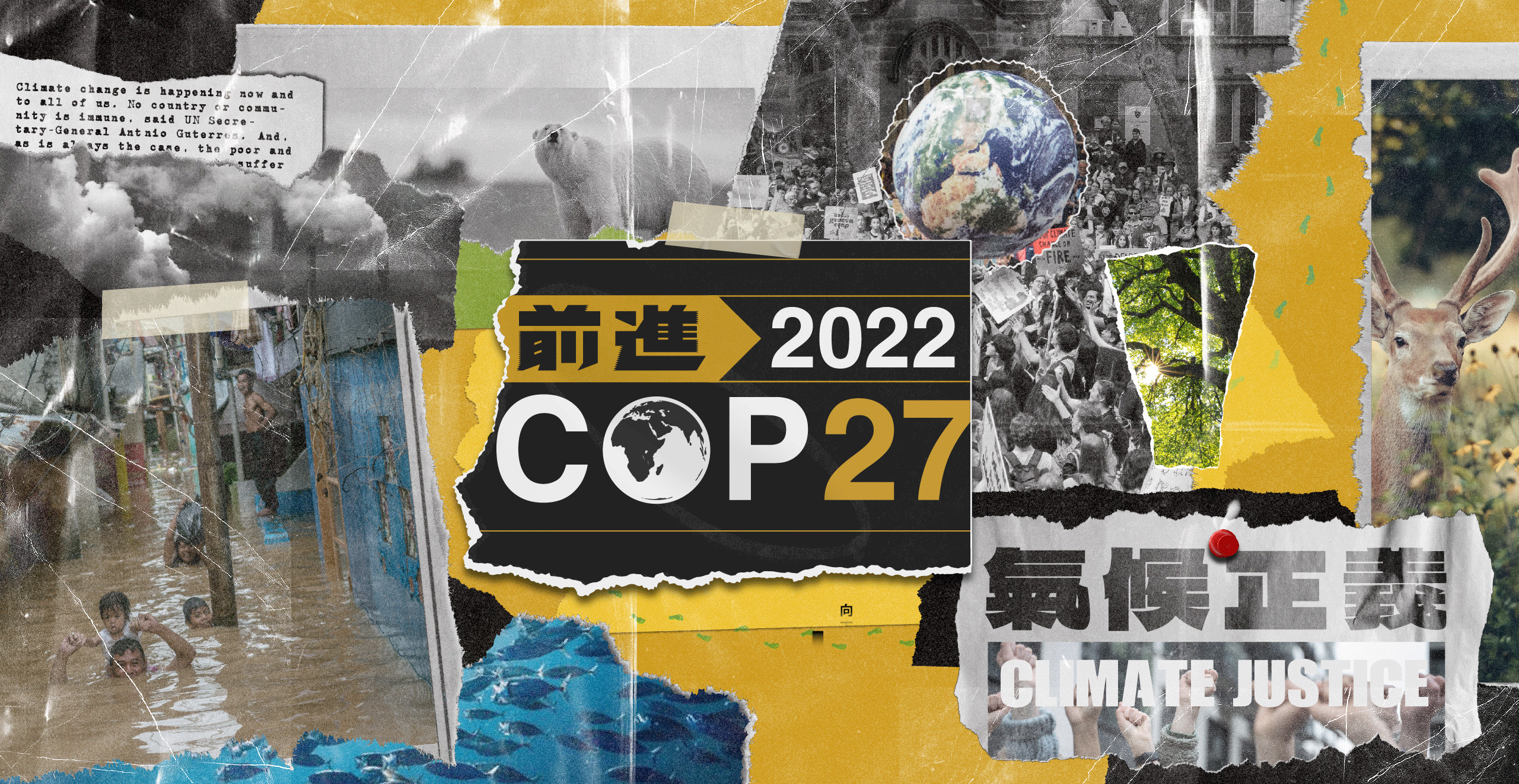XXCOP27TEST