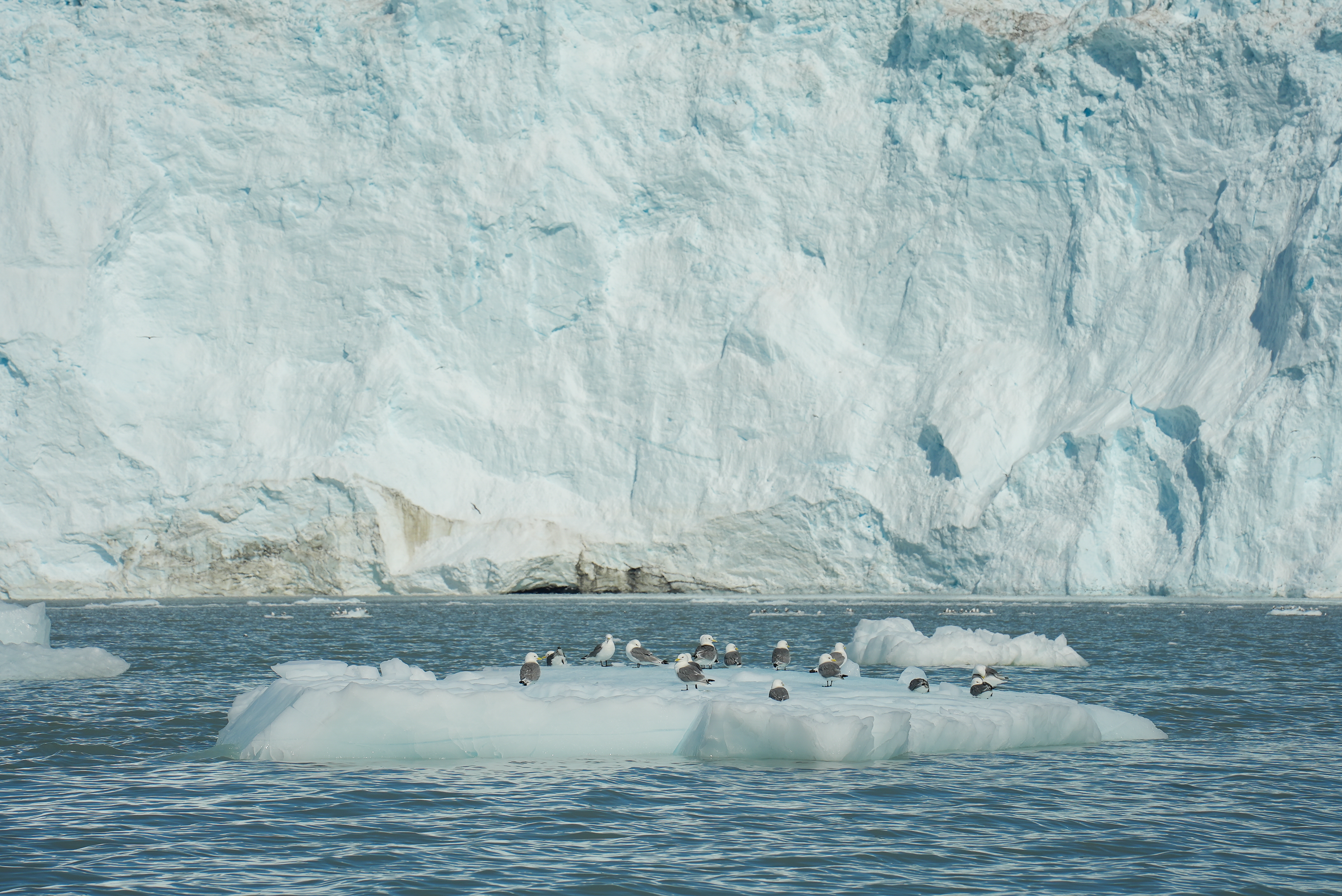 【解凍格陵蘭】格陵蘭二三事｜絕美照片收錄：格陵蘭明信片