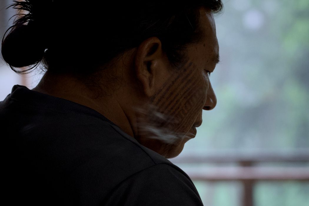 【影像直擊COP30 - 深度凝視】雨林守護者