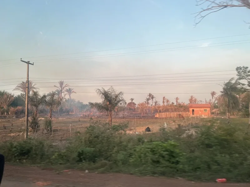 COP30直擊／花120小時抵貝倫 3高中生目睹雨林燃燒