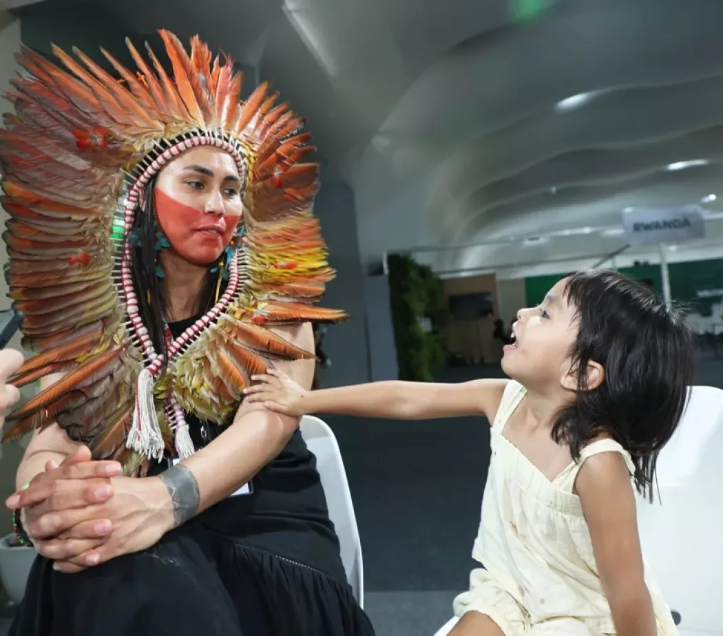 雨林原住民：我們正在失去家園、食物