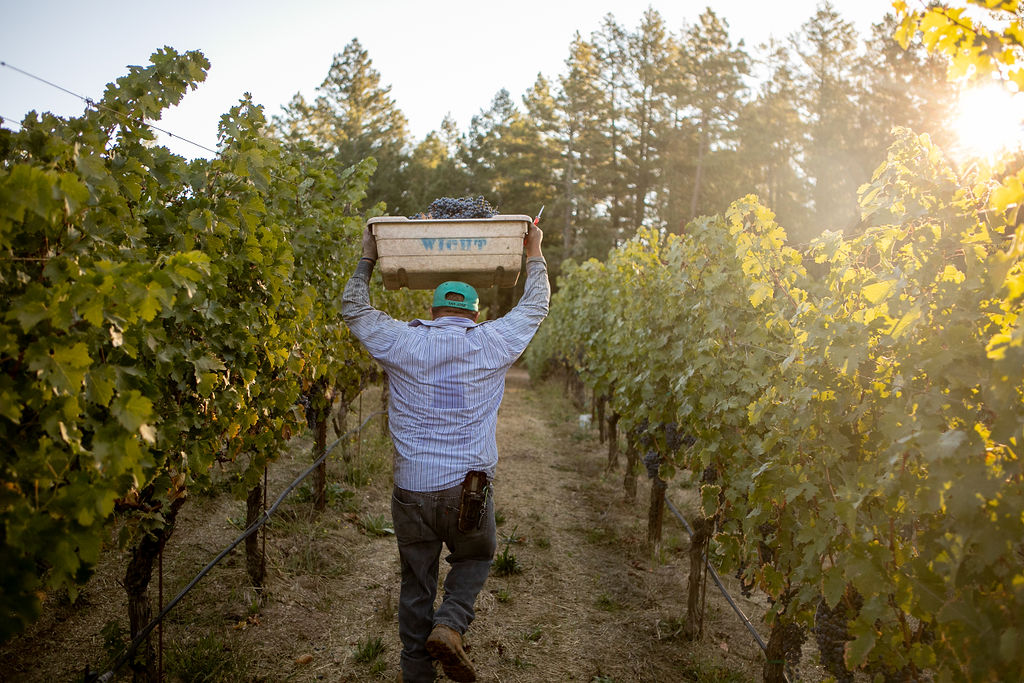 在野火前線釀一瓶低碳葡萄酒:美國農莊Clif Family Winery & Farm