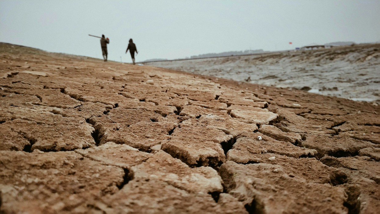 全球氣候挑戰:澳洲減排目標惹議、WMO示警旱澇加劇、歐洲熱浪歸因、IEA點名油氣投資矛盾,中山大學實證海水鹼化助吸碳