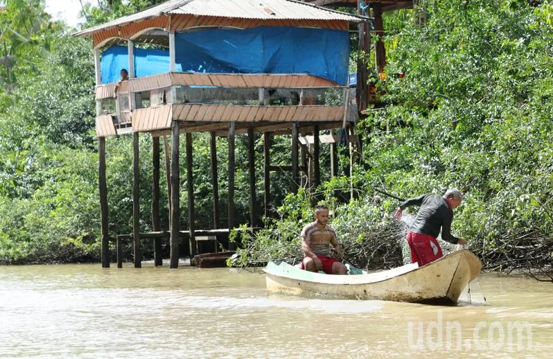 COP30會議登場 展示亞馬遜重要性