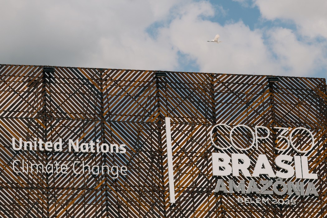 巴西倡設雨林基金 已獲53國支持