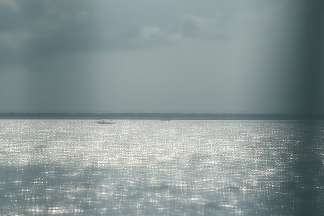 【影像直擊COP30 - 深度凝視】失序亞馬遜